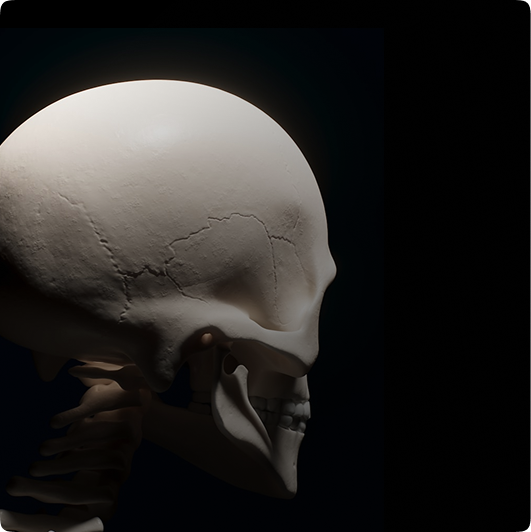 Upper Cervical Chiropractic